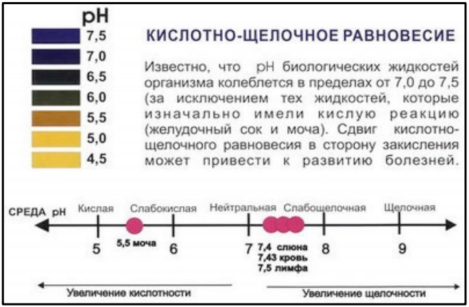 Что такое слабый иммунитет? - Каша Самарский Здоровяк